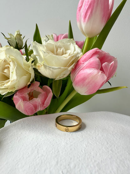 BAGUE RANIA FIN